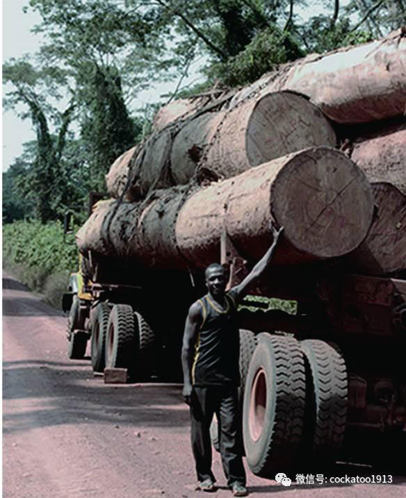 null 20170630104814_98852.jpg