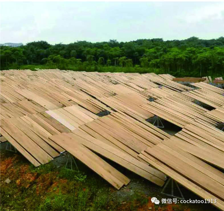 null 20170630104821_75602.jpg